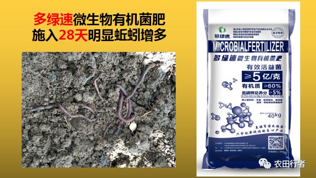 秋施基肥最好能做到“两个70%”