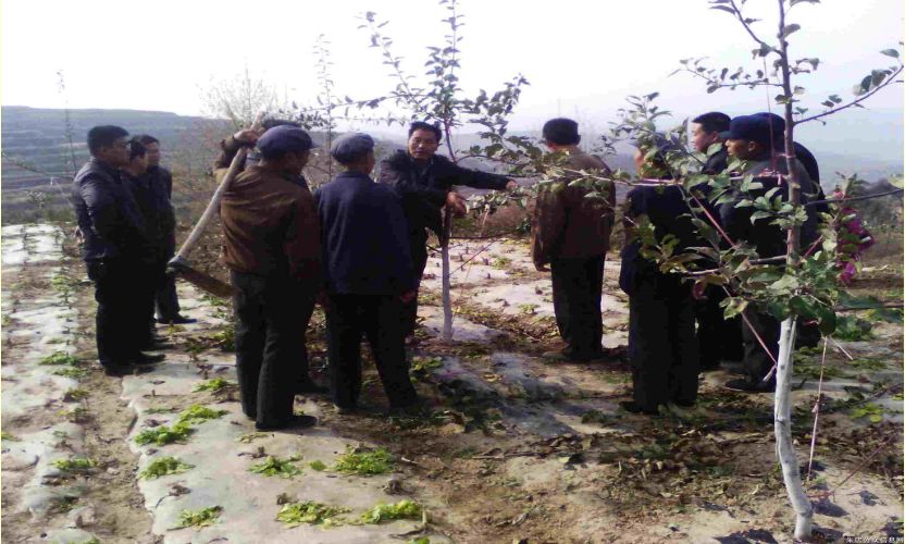 9—11月是果树施肥的“黄金时节”,千万不可忽视