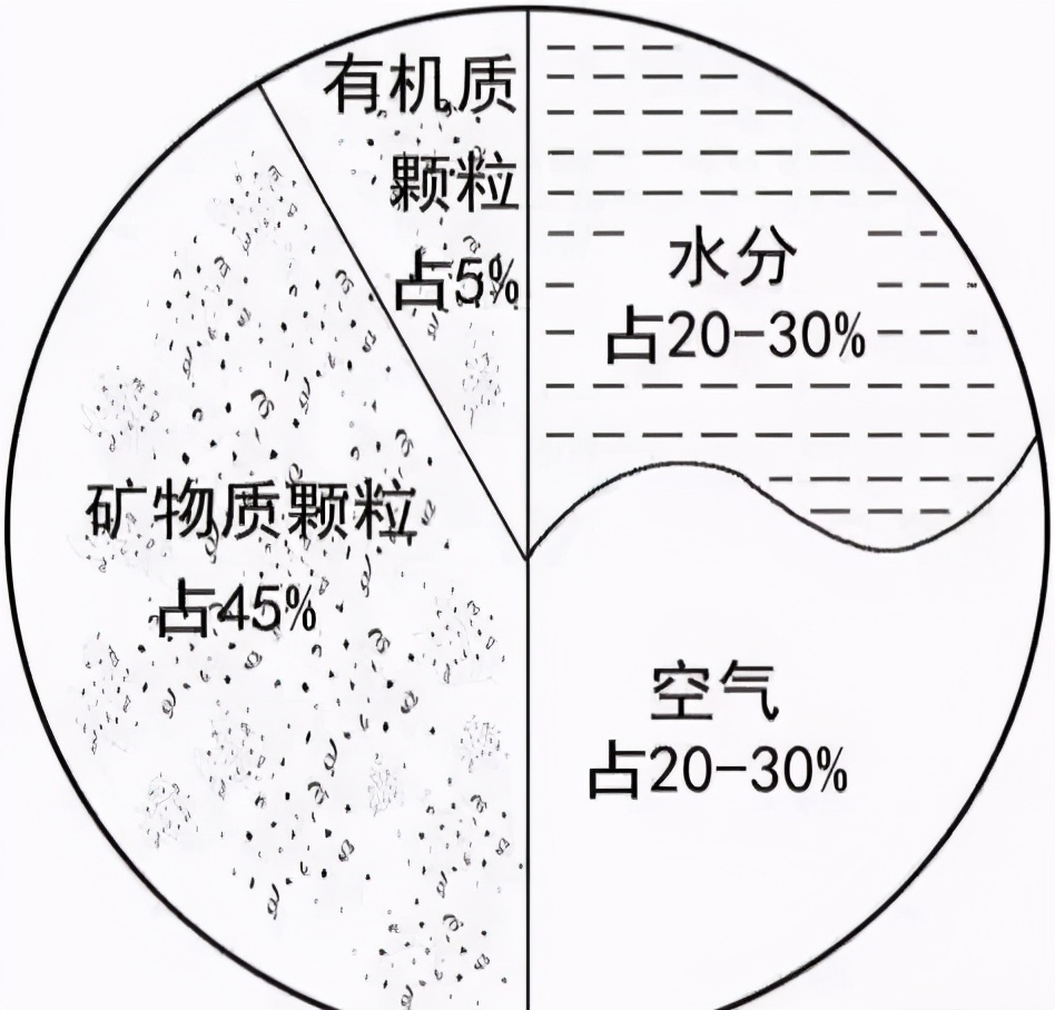 说说土壤那些事（土壤结构篇）