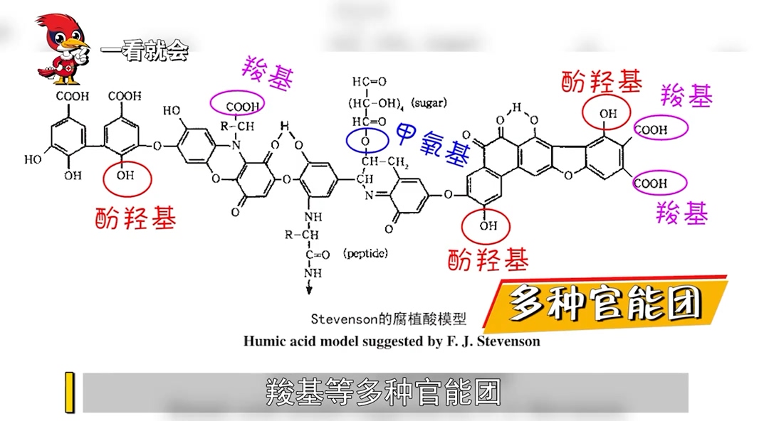 【视频】腐植酸对土壤的改良作用及作用机理