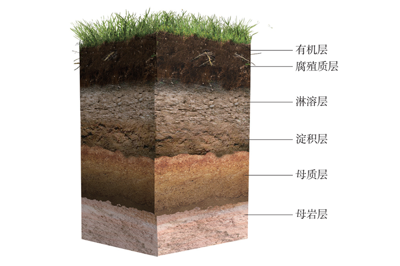 土壤教学经典用图30张！